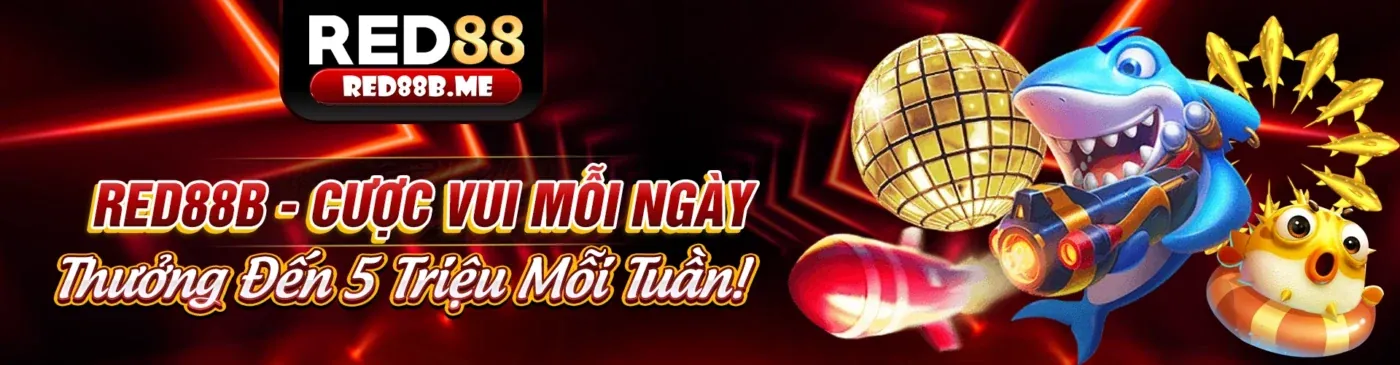 Hình ảnh tổng quan về Điều khoản và Điều kiện của i9bet142 nhà cái