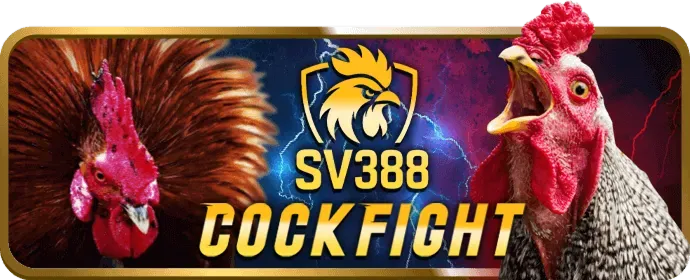 Quy tắc cá cược thể thao i9bet142 nhà cái